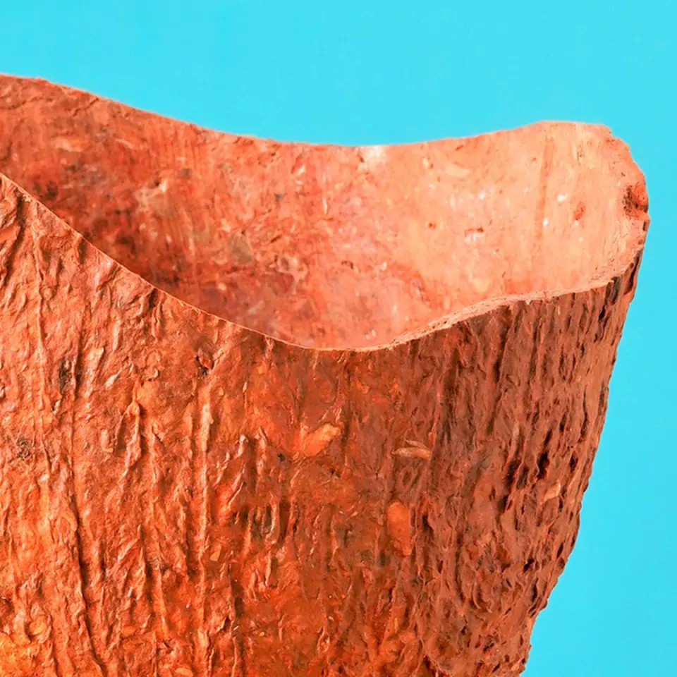 Wood Bark Paper Clay Bowl, image 2