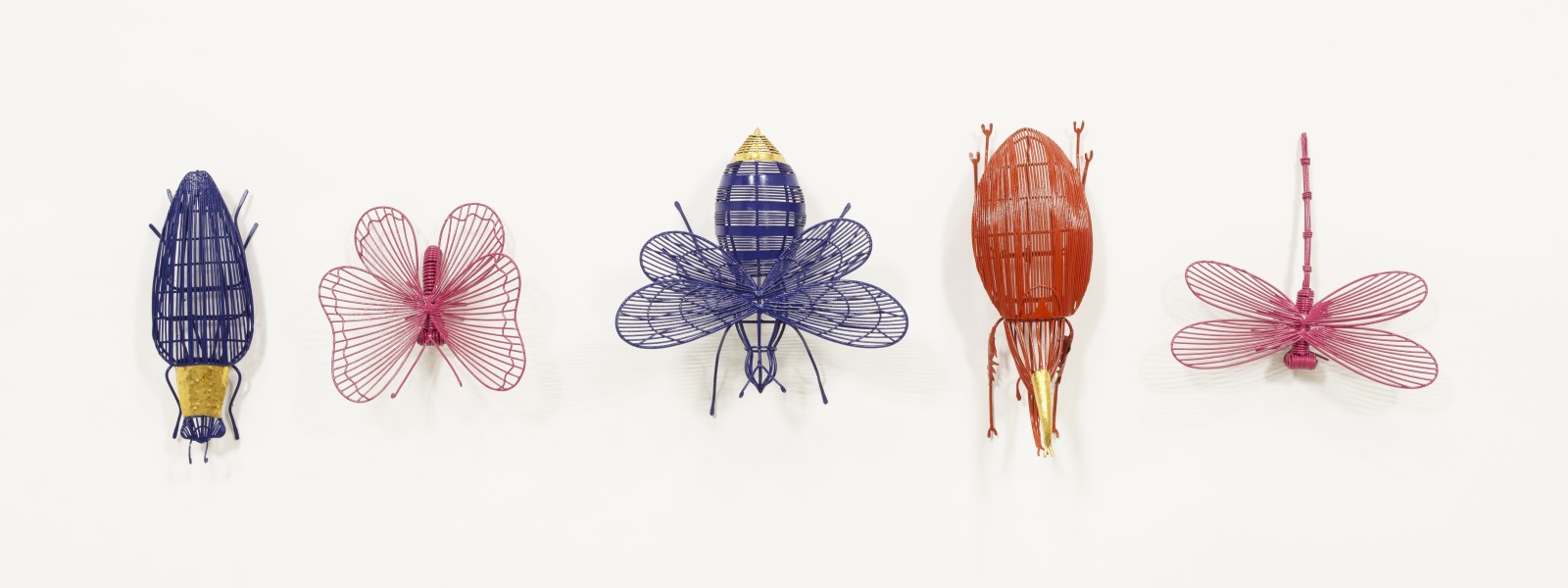 Insects with vibrant colors and a bigger scale